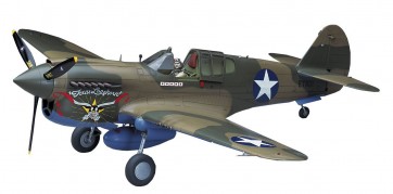 1/32 ST29 P-40E ｳｫｰﾎｰｸ ハセガワ, HAS88795, by ハセガワ