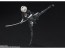 S.H.Figuarts NieR：Automata Ver1.1a 2B バンダイ, BAC55455, by バンダイ