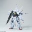 1/100 ＭＧ プロヴィデンスガンダム　プレミアムエディション, BAN71669, by バンダイ