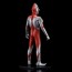 Character Classics ウルトラマン Bタイプ 海洋堂, KYD70548, by 海洋堂