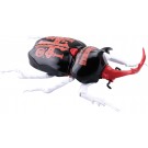 自由研究シリーズ No.2102 新日本プロレスリング編 カブトムシ 内藤 哲也仕様 フジミ, FUJ71807, by フジミ