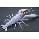 自由研究シリーズ いきもの編 アメリカザリガニ(ホワイト) フジミ, FUJ70886, by フジミ
