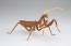 自由研究シリーズ いきもの編 オオカマキリ (茶色) フジミ, FUJ70978, by フジミ
