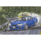 1/24 頭文字Dシリーズ No.22 スカイライン GT-R (BNR34) 星野好造 フジミ, FUJ83909, by フジミ