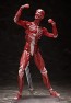 figma 人体模型 フリーイング, FRE10427, by FREEing