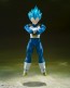S.H.Figuarts ドラゴンボール超 スーパーサイヤ人ゴッドスーパーサイヤ人ベジータ-貫き通すサイヤ人の誇り- バンダイ, BAC64587, by バンダイ
