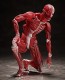 figma 人体模型 フリーイング, FRE10427, by FREEing
