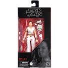 スター・ウォーズ ブラックシリーズ 6インチフィギュア レイ&D-O タカラトミー, TAK41846, by タカラトミー