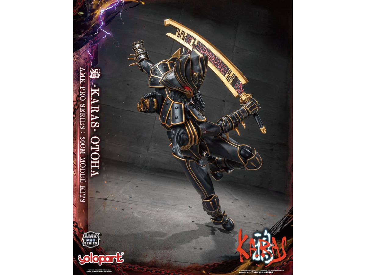 AMK PROシリーズ 20cm 鴉-KARAS- 乙羽鴉 リジェネラートVer. 童友社