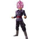 S.H.Figuarts ドラゴンボールシリーズ ゴクウブラック-スーパーサイヤ人ロゼ- (再販) バンダイ, BAC68721, by バンダイ