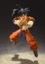 S.H.Figuarts ドラゴンボール 孫悟空-地球育ちのサイヤ人- バンダイ, BAC55403, by バンダイ