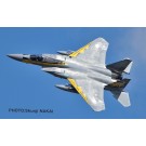 1/72 航空自衛隊 F-15J イーグル 小松基地航空祭2014 第306飛行隊 ゴールデンイーグルス 特別塗装機 プラッツ, PLZ84757, by プラッツ