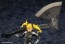1/8 ARTFX J 怪獣8号 四ノ宮キコル コトブキヤ, KBY48847, by コトブキヤ