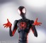 SH.Figuarts  スパイダーマン(マイルス・モラレス)(スパイダーマン:アクロス・ザ・スパイダーバース) バンダイ, BAC39899, by バンダイ