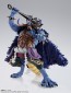 S.H.Figuarts ONE PIECE 百獣のカイドウ (人獣型) バンダイ, BAC55219, by バンダイ