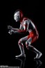 S.H.Figuarts(真骨彫製法) ウルトラマン バンダイ, BAC34412, by バンダイ