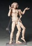 figma ウィトルウィウス的人体図 (2次再販) フリーイング, FRE10434, by FREEing
