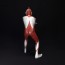 ウルトラマン(シン・ウルトラマン)/ メガソフビキット 海洋堂, KYD10562, by 海洋堂
